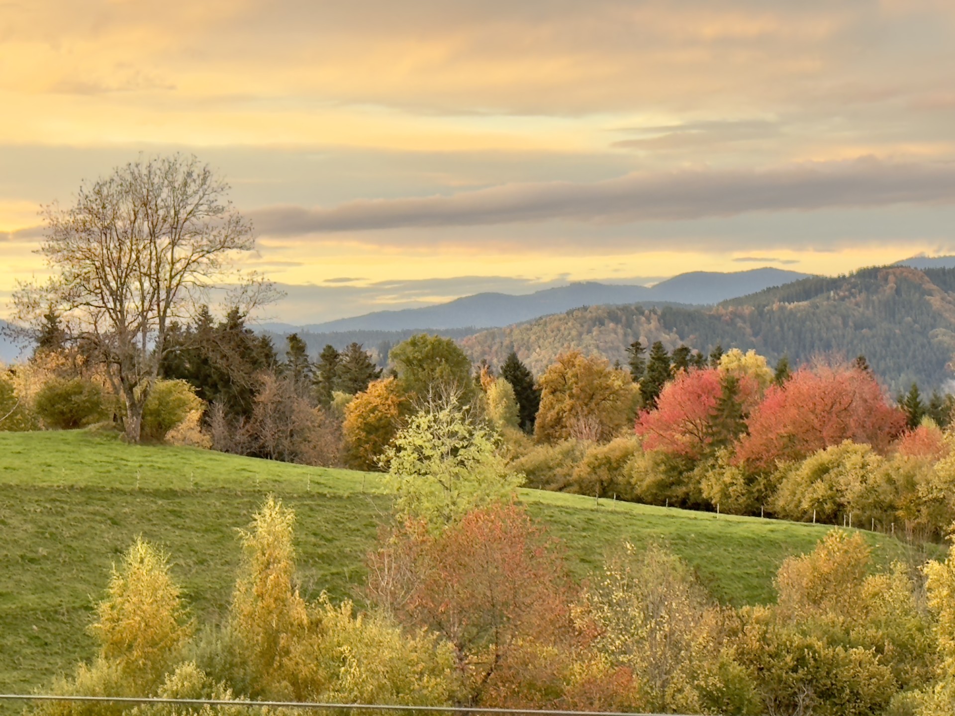 Herbstliche Schwarzwaldlandschaft im Abendlicht